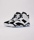 Air Jordan 6 Retro 'Oreo'