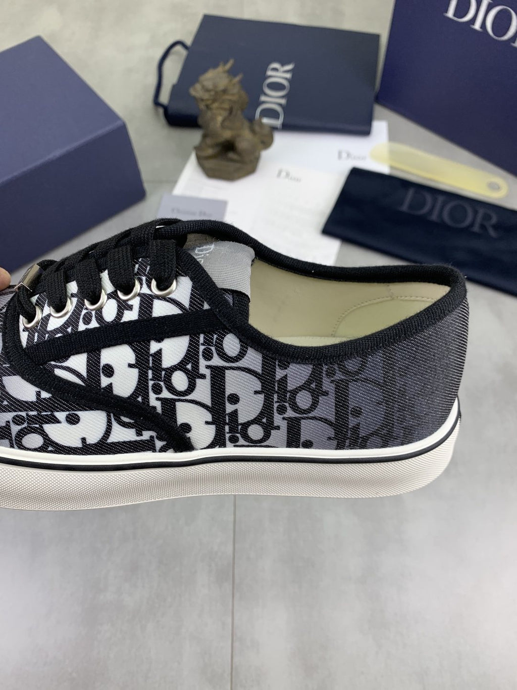 Dior Patterned Low-Top Canvas Sneakers
